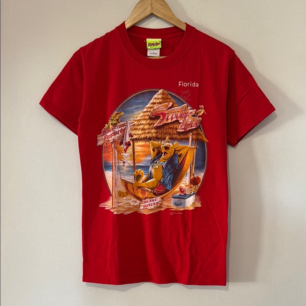 Vintage Scooby Doo T-Shirt / Do Not Disturb / Small / 2002